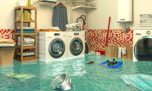 Don't Let Your Washing Machine Sink You